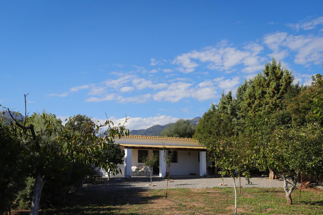 Lavender Farm House Nafpaktos エクステリア 写真