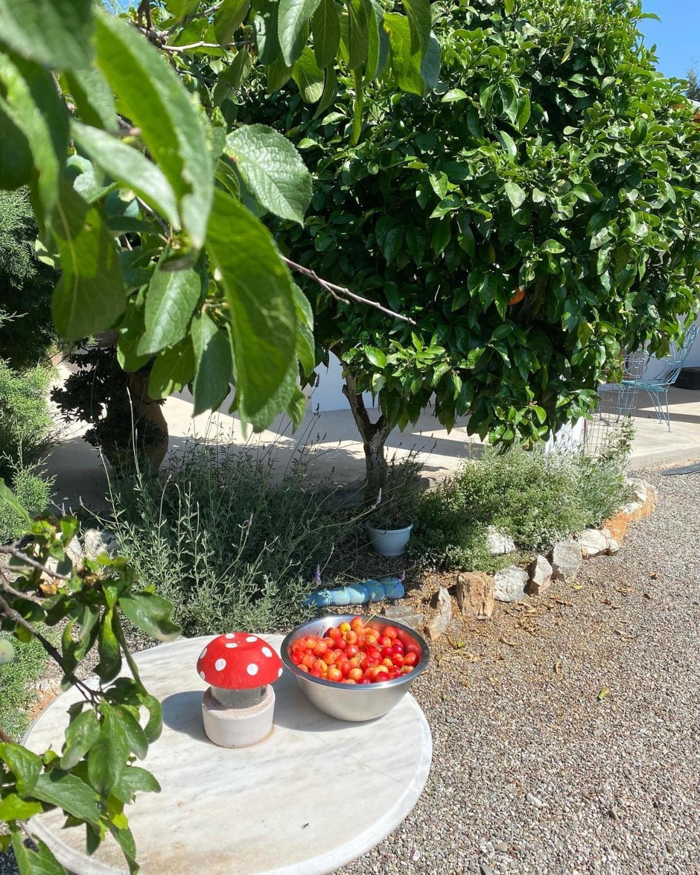 Lavender Farm House Nafpaktos エクステリア 写真