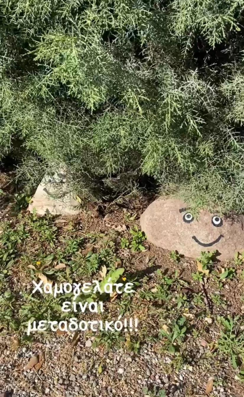 Lavender Farm House Nafpaktos エクステリア 写真